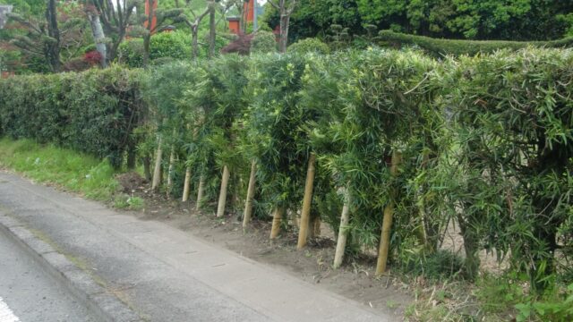 植栽修繕工事