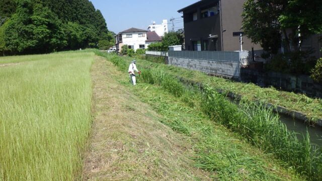 事務所周辺の美化活動